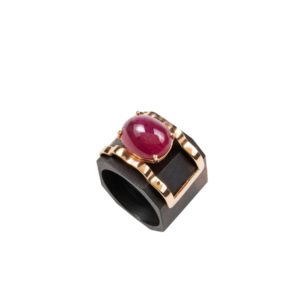 Ebony and Ruby Dimension Ring Rings
